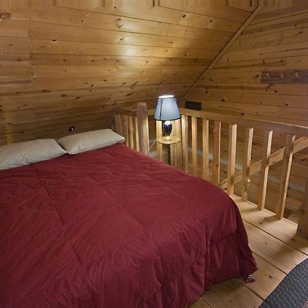 Galena Log Cabin Getaway Cameră foto