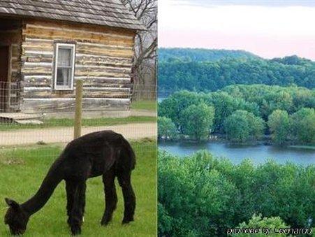 Galena Log Cabin Getaway Exterior foto